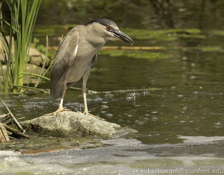 emily renzel wetlands 2023